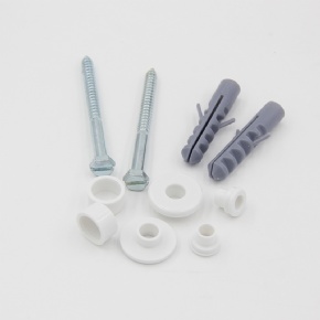 Toilet anchor bolt kit